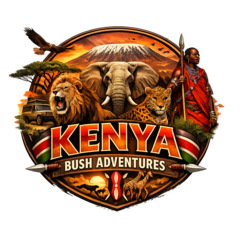 Kenya Bush Adventures